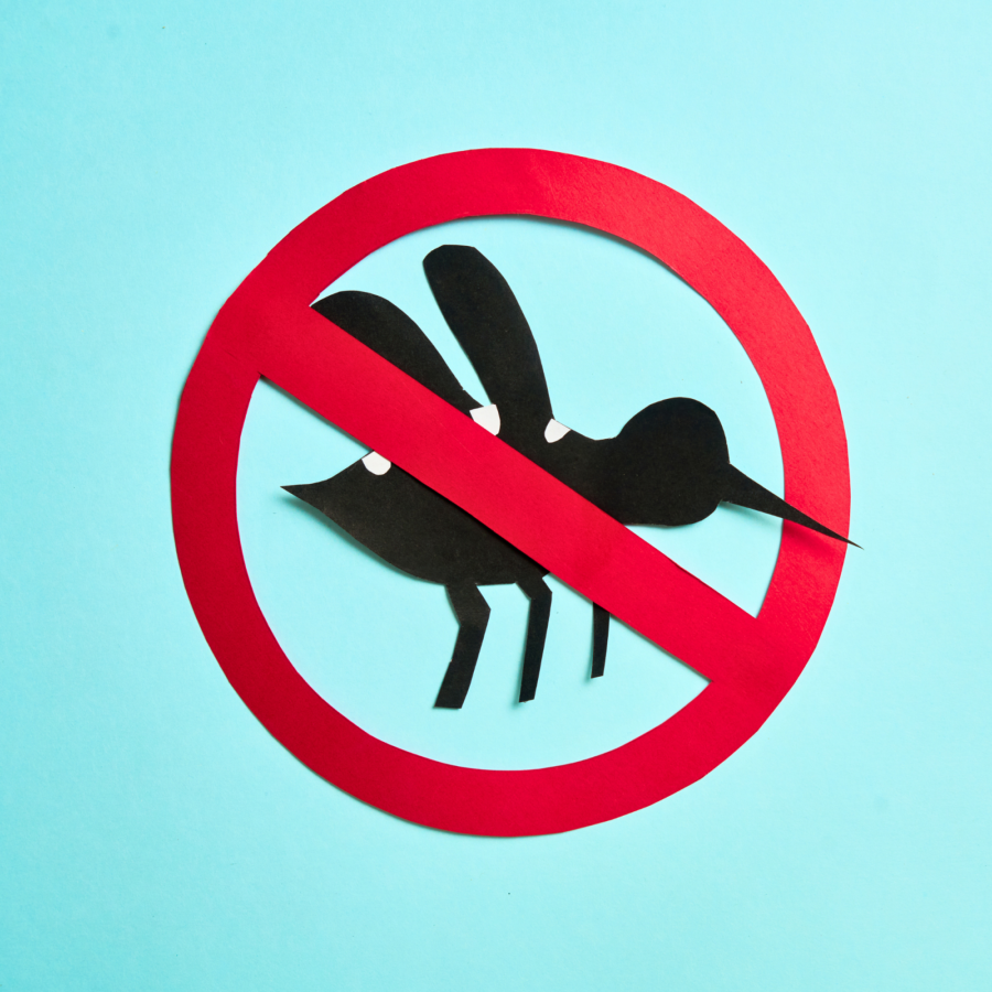 Symptoms You Should Never Ignore After a Mosquito Bite Banner